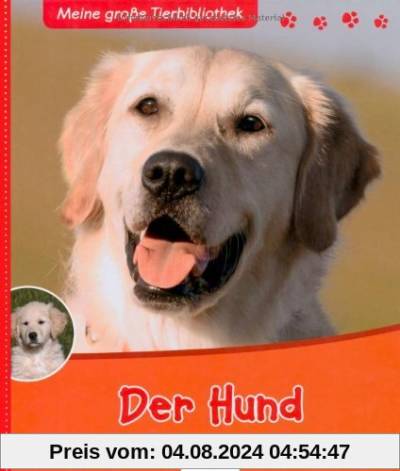 Der Hund